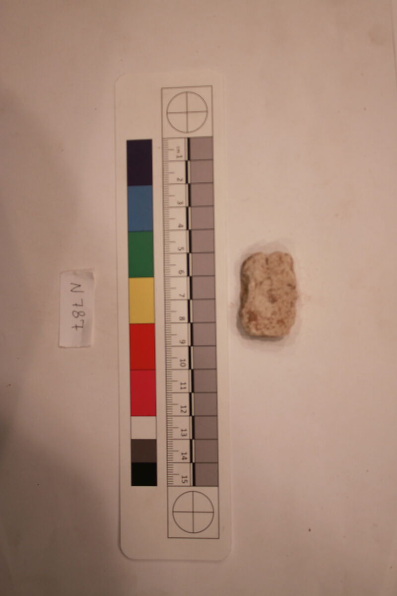 Stucco Fragment, Stucco; carved, painted (?)