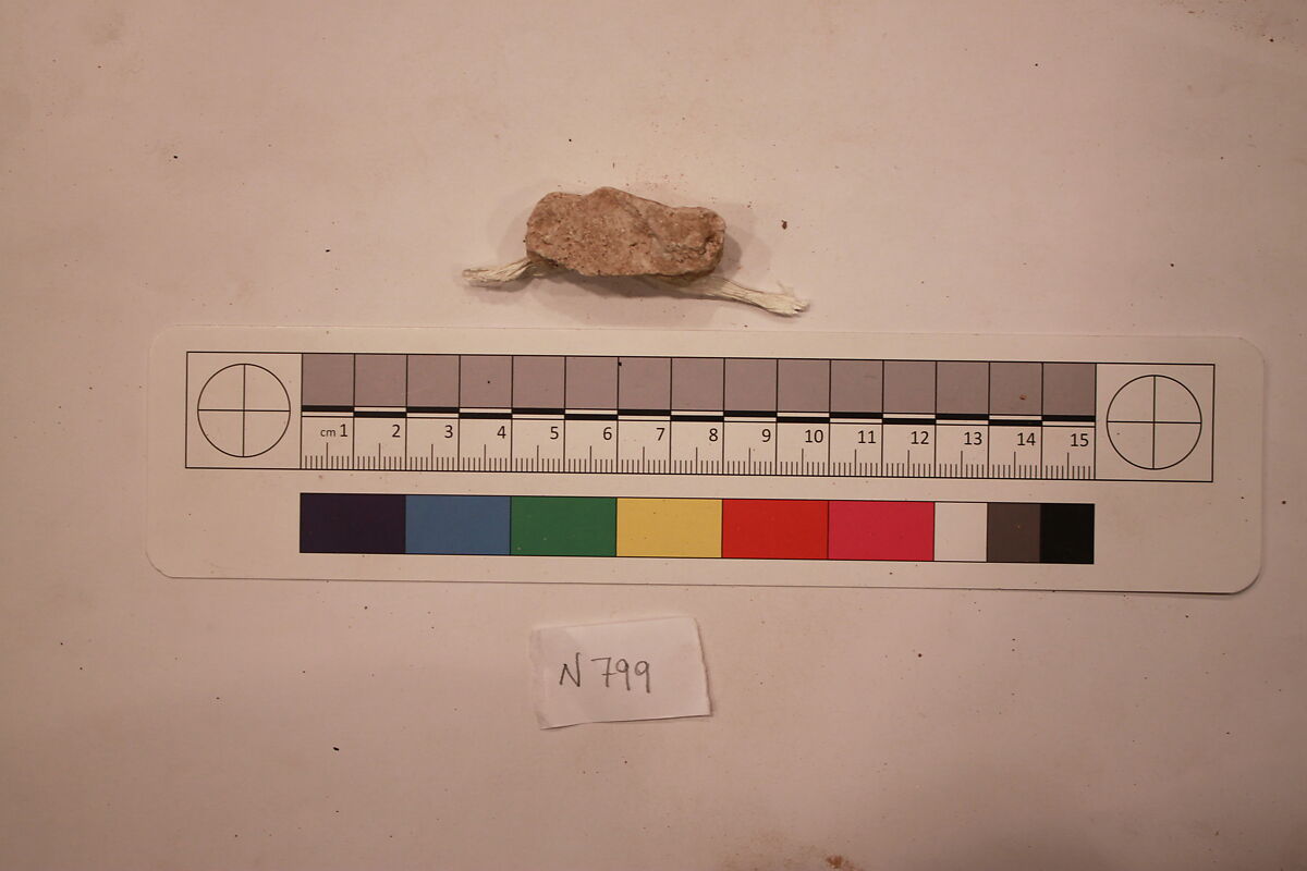 Stucco Fragment, Stucco; carved, painted