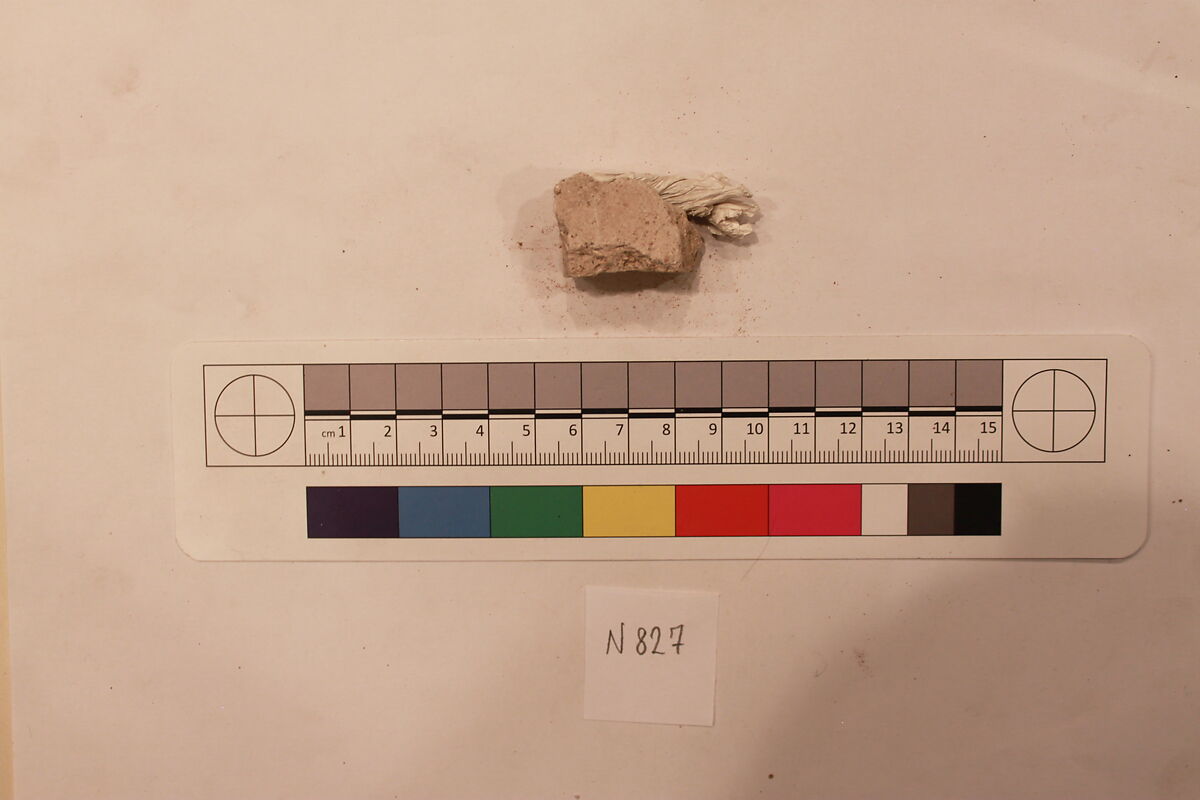 Stucco Fragment, Stucco; carved
