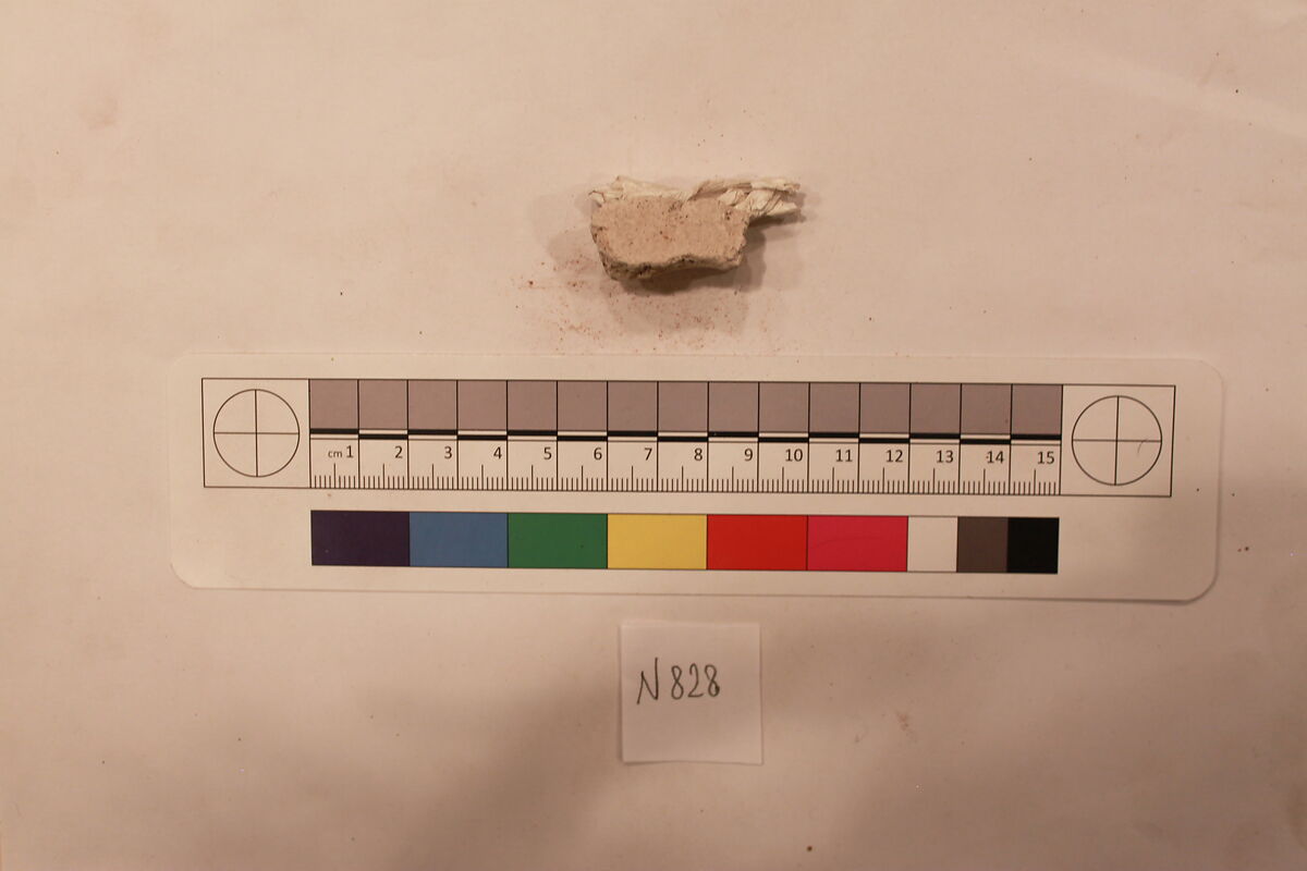 Stucco Fragment, Stucco; carved