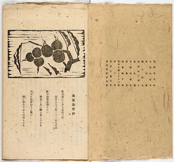 Somekusa, Vol. 1 (dyed grasses), Woodblock-printed book, Japan