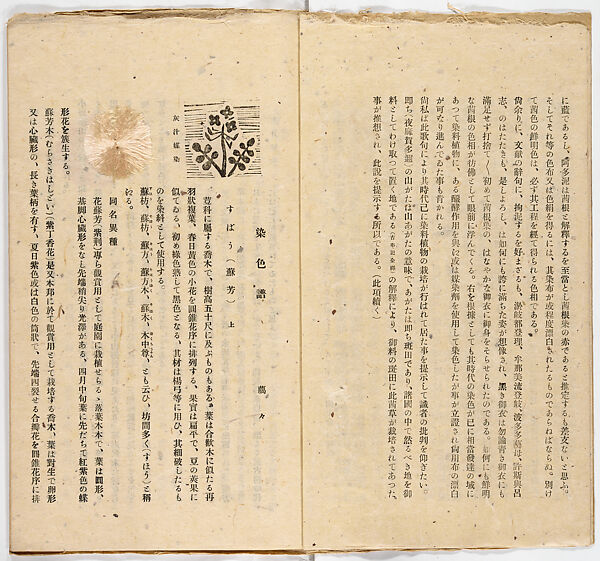 Somekusa, Vol. 1 (dyed grasses), Woodblock-printed book, Japan