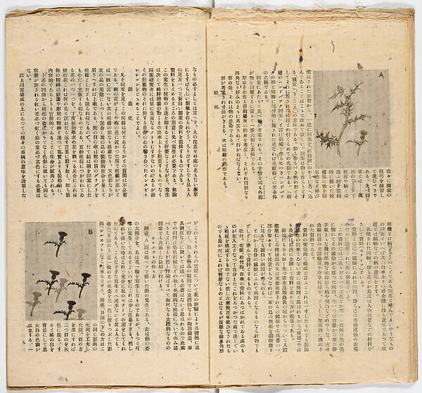 Somekusa, Vol. 1 (dyed grasses), Woodblock-printed book, Japan