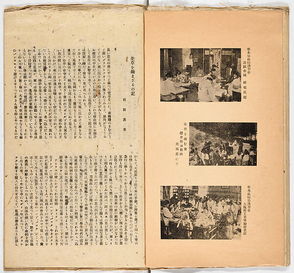 Somekusa, Vol. 1 (dyed grasses), Woodblock-printed book, Japan