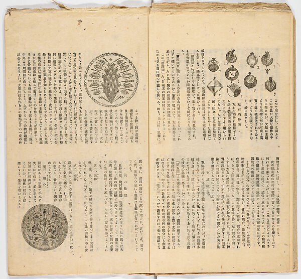 Somekusa, Vol. 2 (dyed grasses), Woodblock-printed book, Japan
