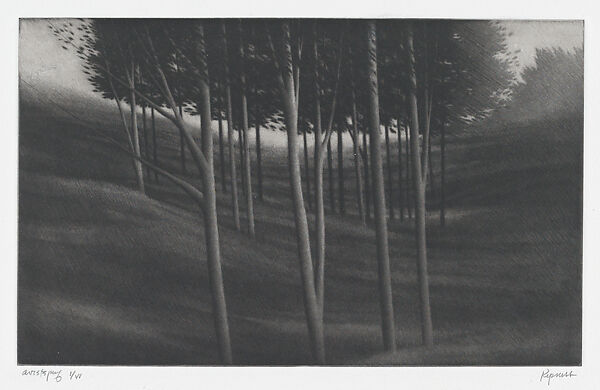 From White Hollow Road, Robert Kipniss (American, born New York, 1931), Mezzotint; artist's proof 