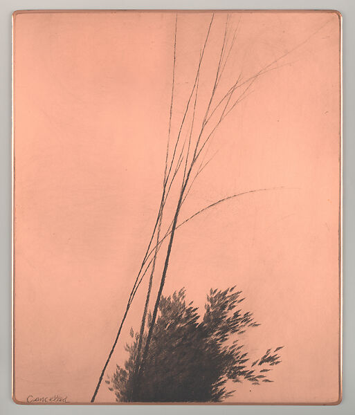 Apparitions, Robert Kipniss (American, born New York, 1931), Copper plate 