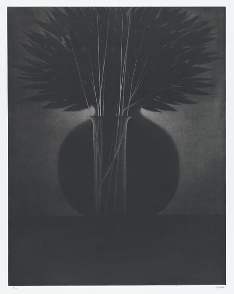 Two Vases, Robert Kipniss (American, born New York, 1931), Mezzotint 