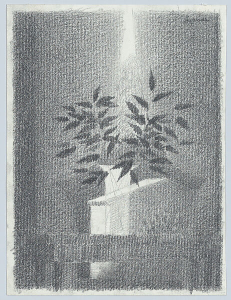 Curtain and Clear Vase, Robert Kipniss (American, born New York, 1931), Graphite 
