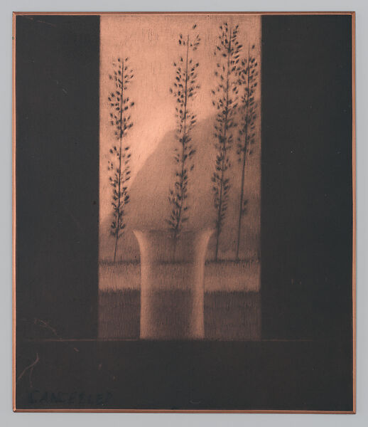 Window & four trees, Robert Kipniss (American, born New York, 1931), Copper plate 
