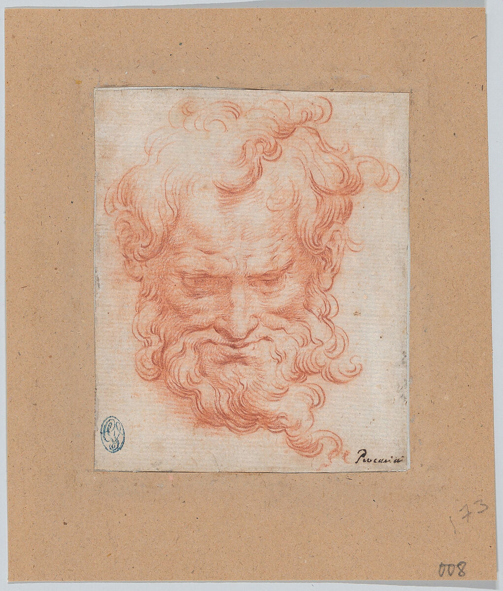 Study of Bearded Man, Camillo Procaccini (Italian, Bologna 1555–1629 Milan), Red chalk 