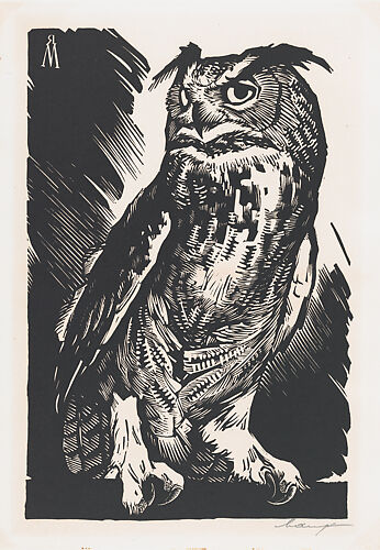 The Owl