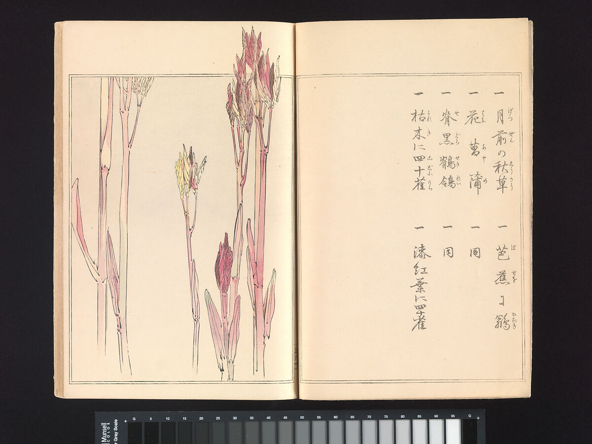 Seitei’s Birds and Flowers Painting Manual, Watanabe Seitei (Japanese, 1851–1918), Woodblock printed book (Japanese-style binding); ink and color on paper, Japan
