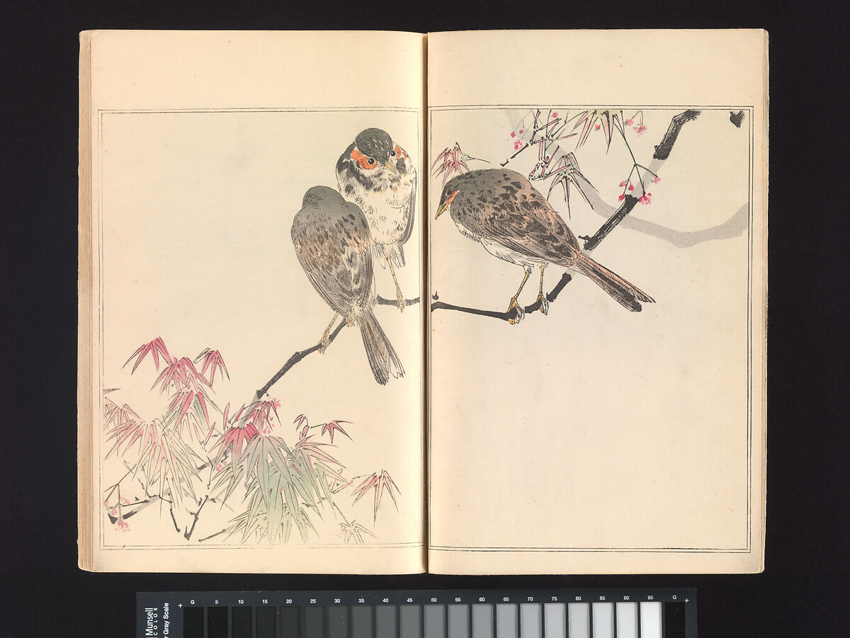 Seitei’s Birds and Flowers Painting Manual, Watanabe Seitei (Japanese, 1851–1918), Woodblock printed book (Japanese-style binding); ink and color on paper, Japan
