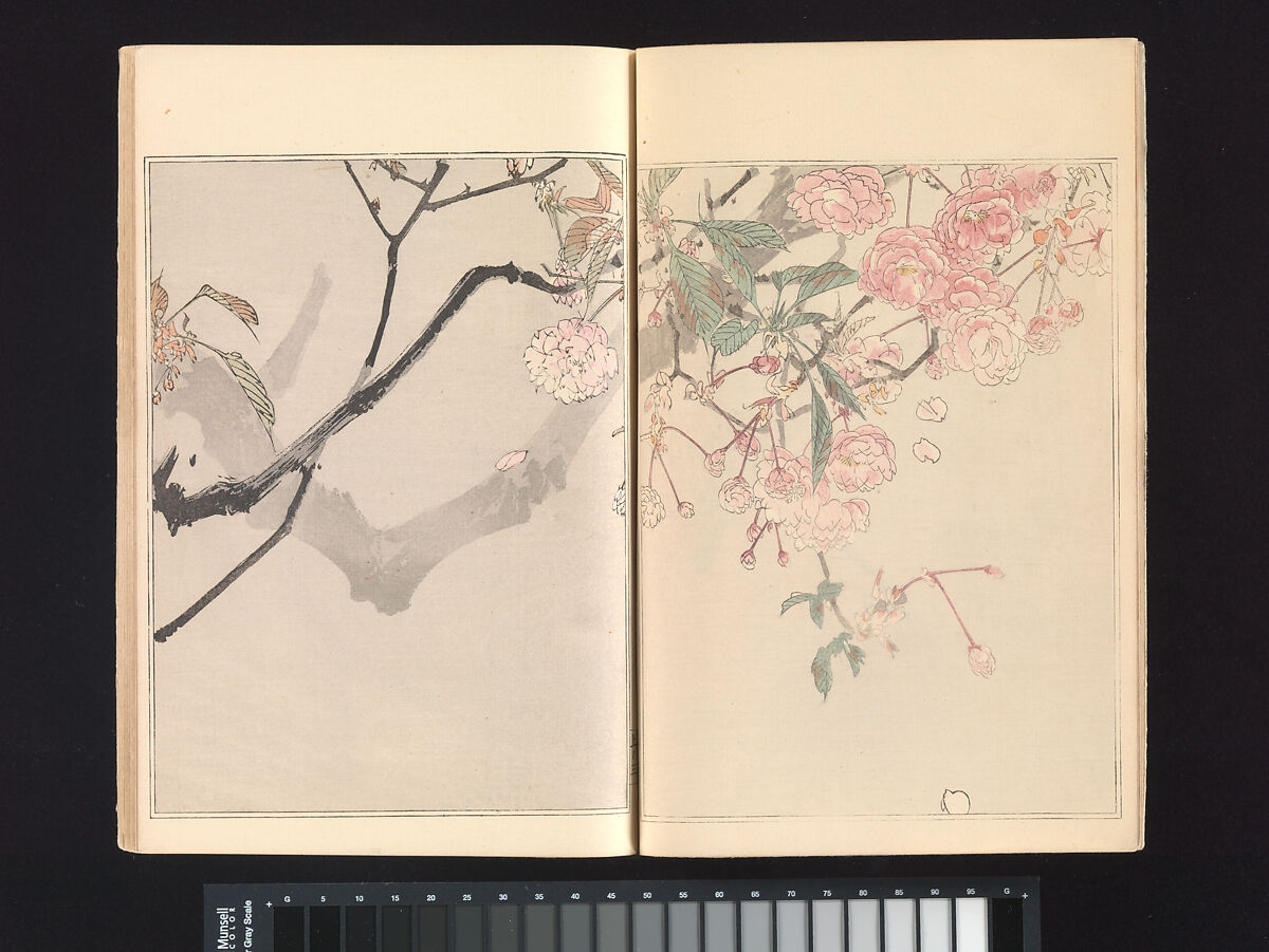 Seitei’s Birds and Flowers Painting Manual, Watanabe Seitei (Japanese, 1851–1918), Woodblock printed book (Japanese-style binding); ink and color on paper, Japan