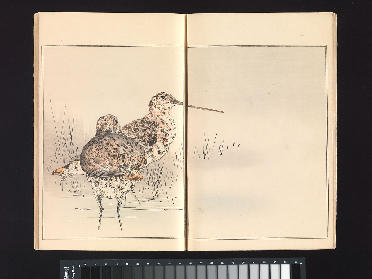 Seitei’s Birds and Flowers Painting Manual, Watanabe Seitei (Japanese, 1851–1918), Woodblock printed book (Japanese-style binding); ink and color on paper, Japan