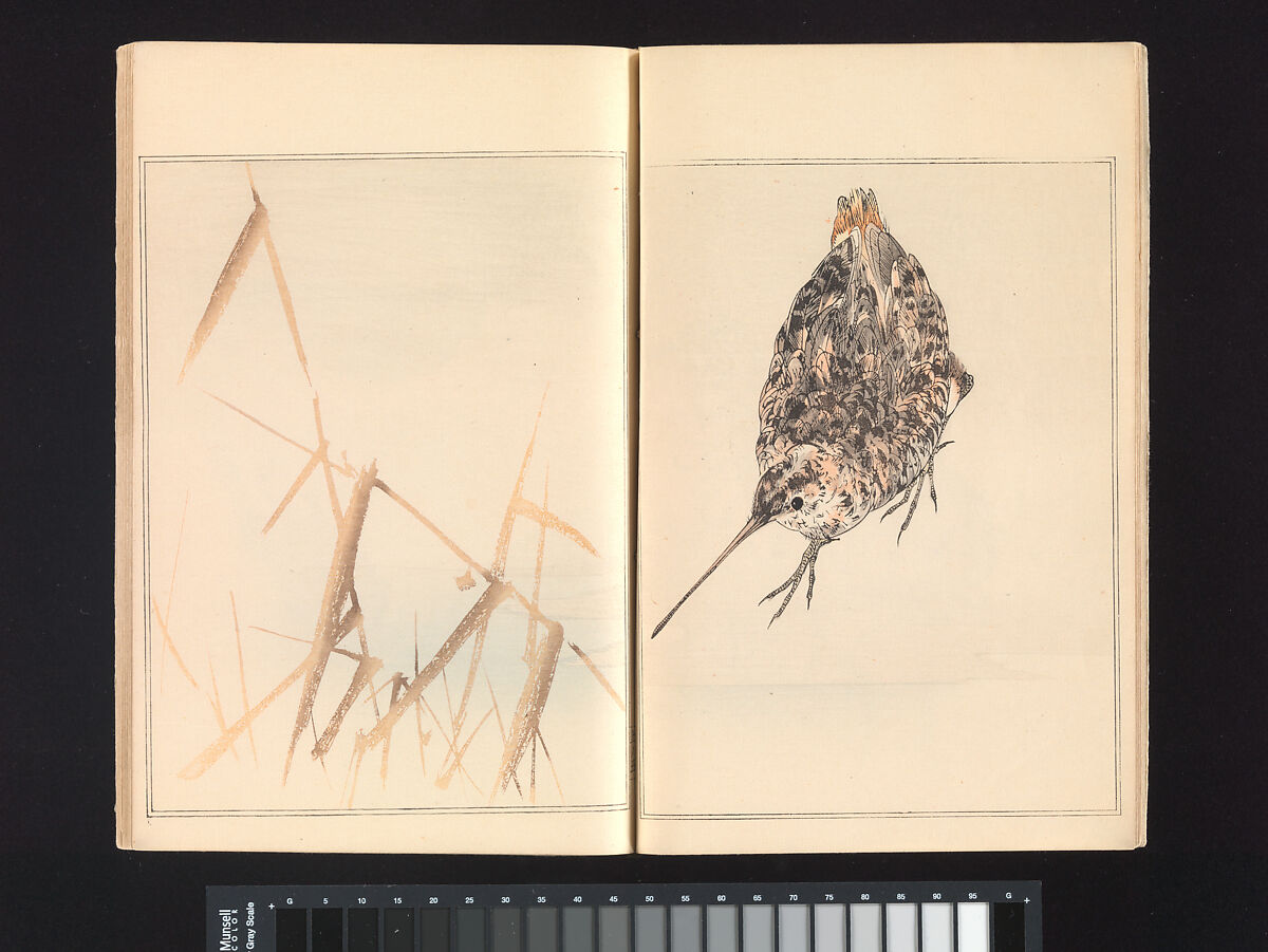 Seitei’s Birds and Flowers Painting Manual, Watanabe Seitei (Japanese, 1851–1918), Woodblock printed book (Japanese-style binding); ink and color on paper, Japan