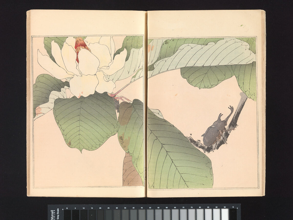 Seitei’s Birds and Flowers Painting Manual, Watanabe Seitei (Japanese, 1851–1918), Woodblock printed book (Japanese-style binding); ink and color on paper, Japan