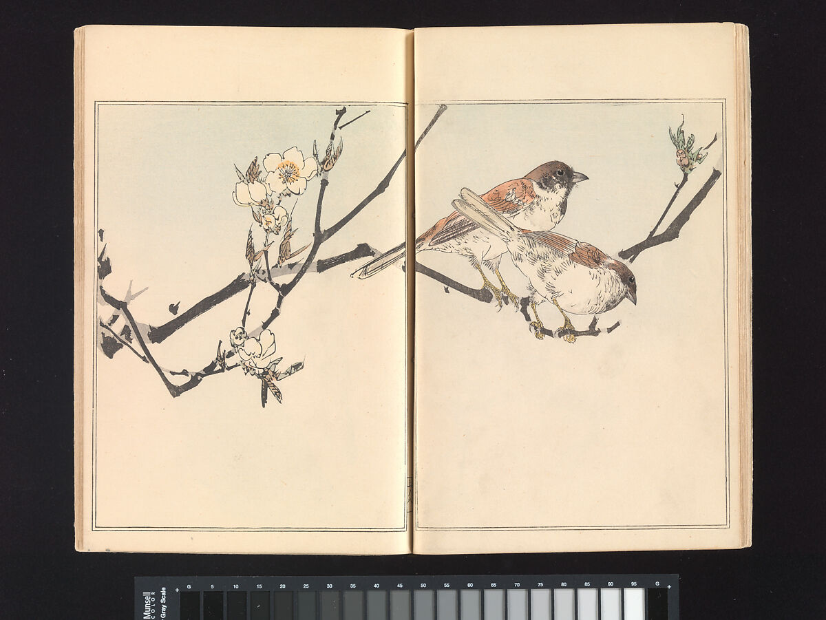 Seitei’s Birds and Flowers Painting Manual, Watanabe Seitei (Japanese, 1851–1918), Woodblock printed book (Japanese-style binding); ink and color on paper, Japan