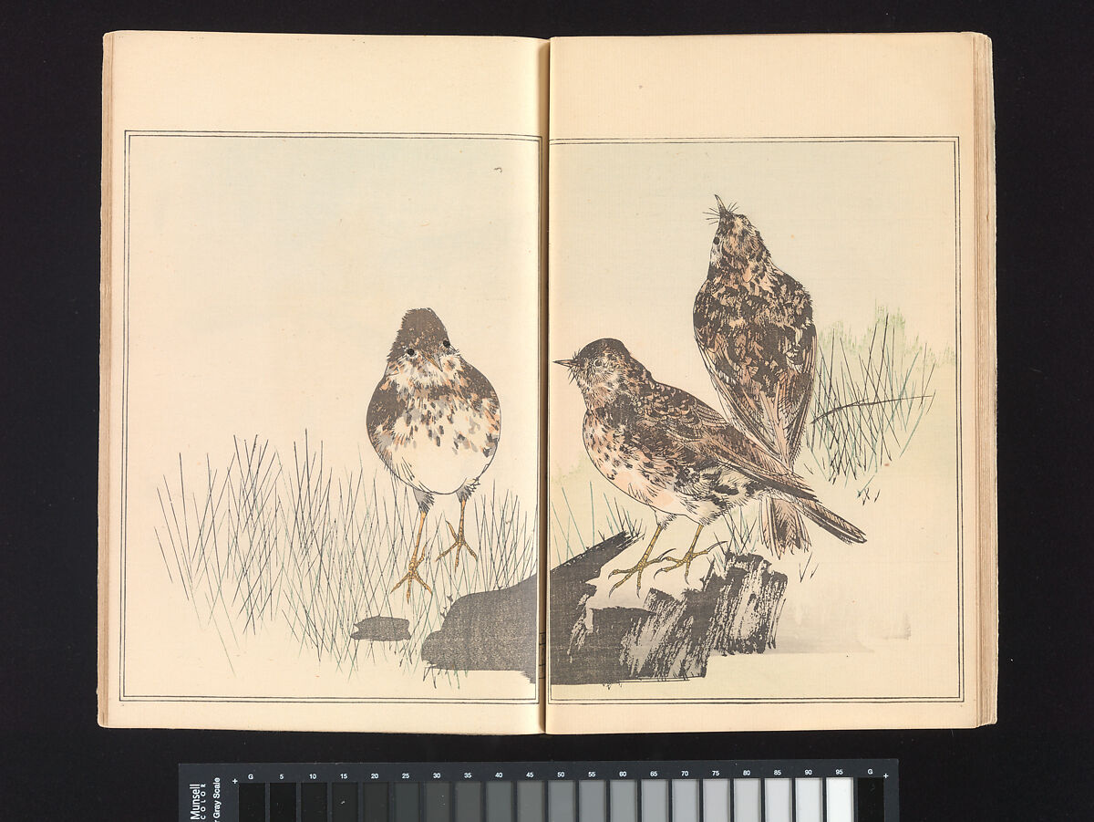 Seitei’s Birds and Flowers Painting Manual, Watanabe Seitei (Japanese, 1851–1918), Woodblock printed book (Japanese-style binding); ink and color on paper, Japan