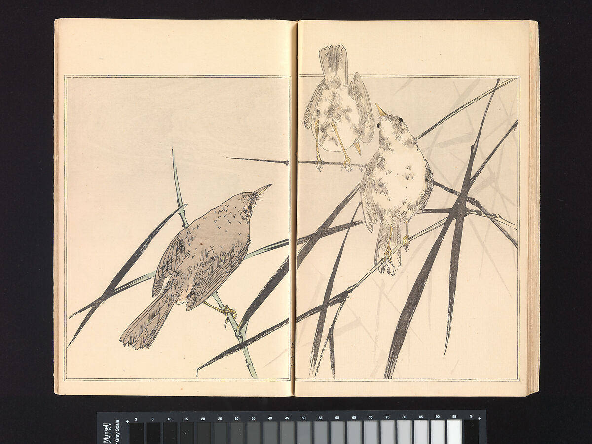 Seitei’s Birds and Flowers Painting Manual, Watanabe Seitei (Japanese, 1851–1918), Woodblock printed book (Japanese-style binding); ink and color on paper, Japan