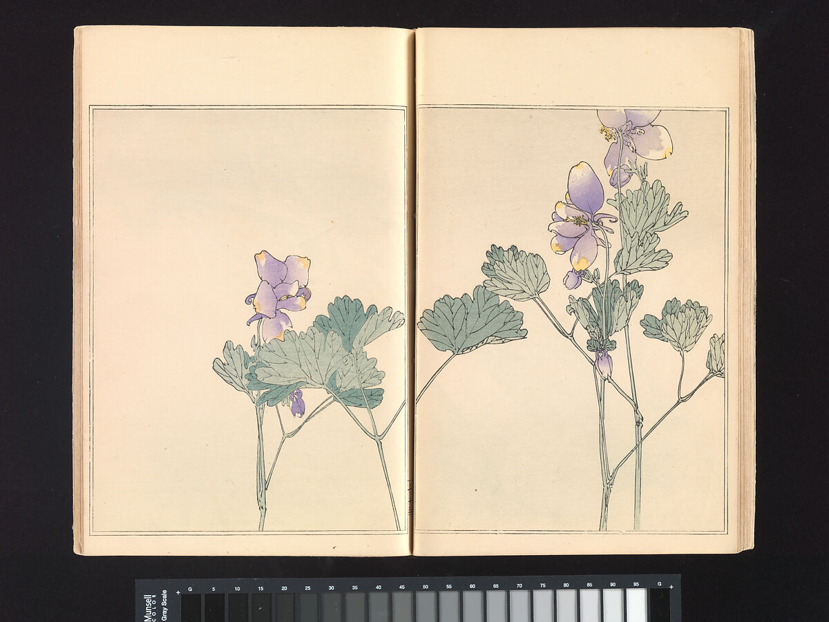 Seitei’s Birds and Flowers Painting Manual, Watanabe Seitei (Japanese, 1851–1918), Woodblock printed book (Japanese-style binding); ink and color on paper, Japan