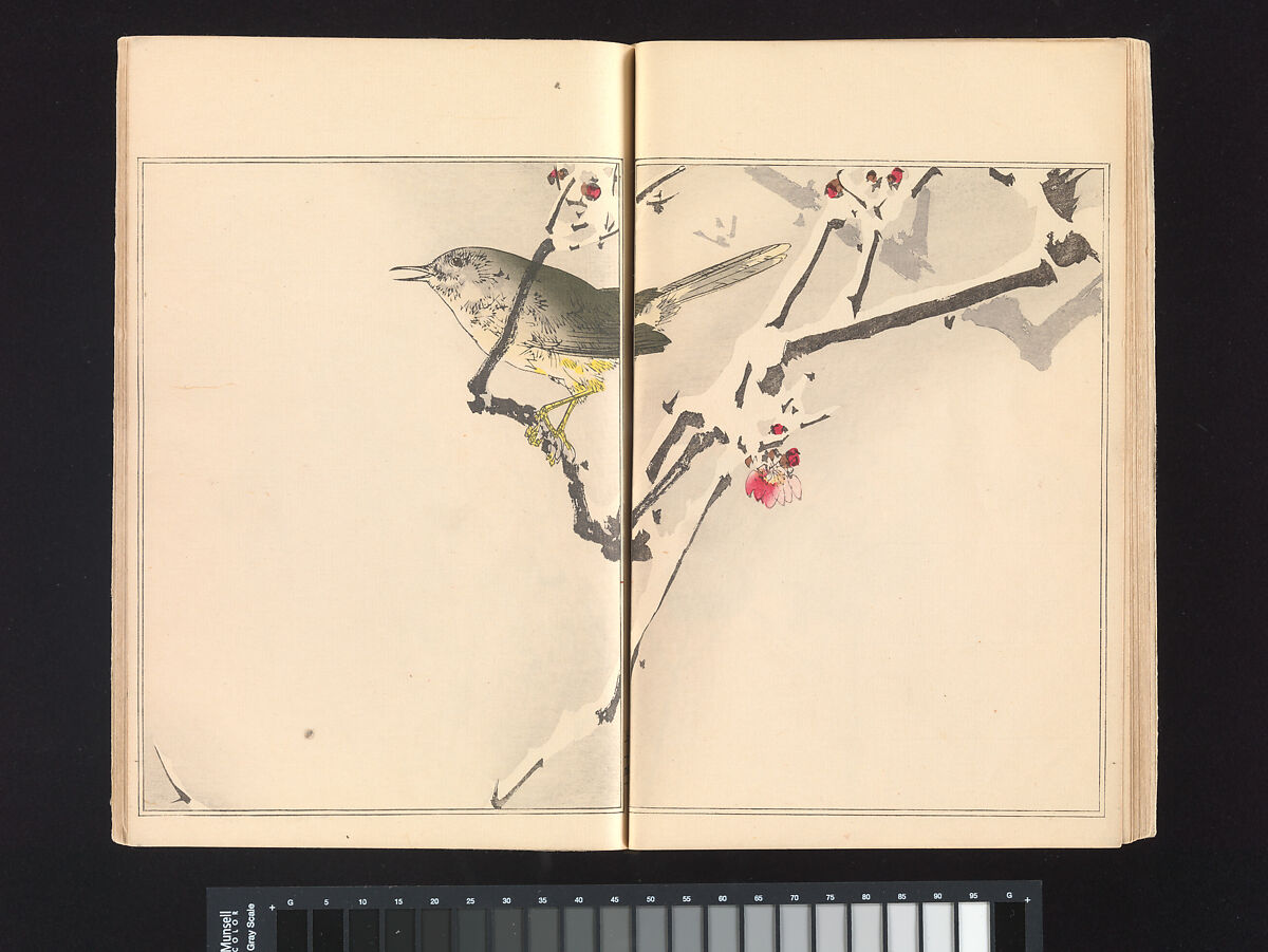 Seitei’s Birds and Flowers Painting Manual, Watanabe Seitei (Japanese, 1851–1918), Woodblock printed book (Japanese-style binding); ink and color on paper, Japan