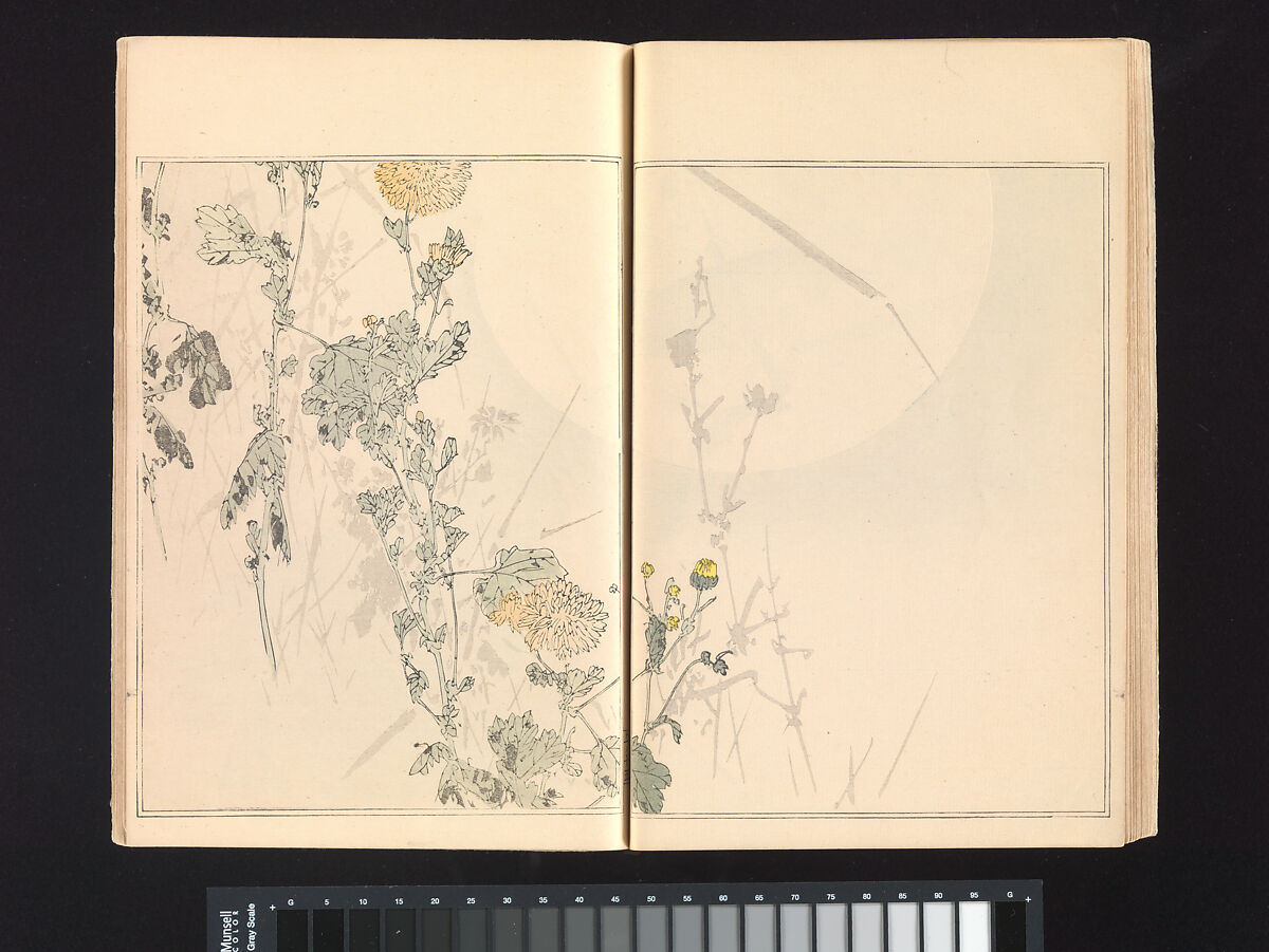 Seitei’s Birds and Flowers Painting Manual, Watanabe Seitei (Japanese, 1851–1918), Woodblock printed book (Japanese-style binding); ink and color on paper, Japan