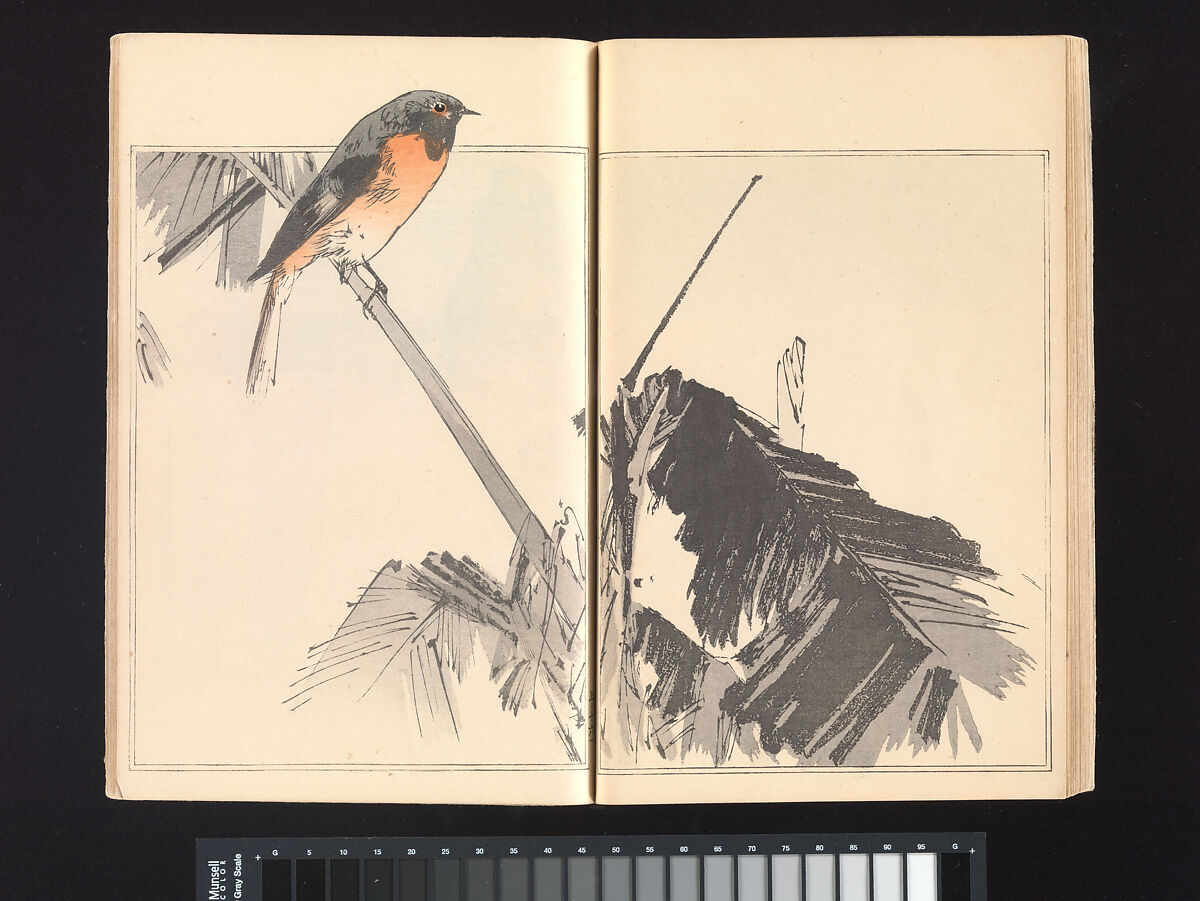 Seitei’s Birds and Flowers Painting Manual, Watanabe Seitei (Japanese, 1851–1918), Woodblock printed book (Japanese-style binding); ink and color on paper, Japan