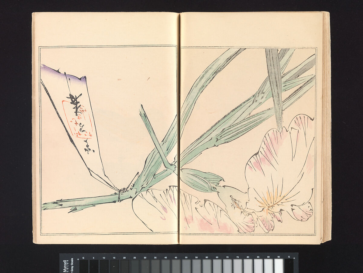Seitei’s Birds and Flowers Painting Manual, Watanabe Seitei (Japanese, 1851–1918), Woodblock printed book (Japanese-style binding); ink and color on paper, Japan