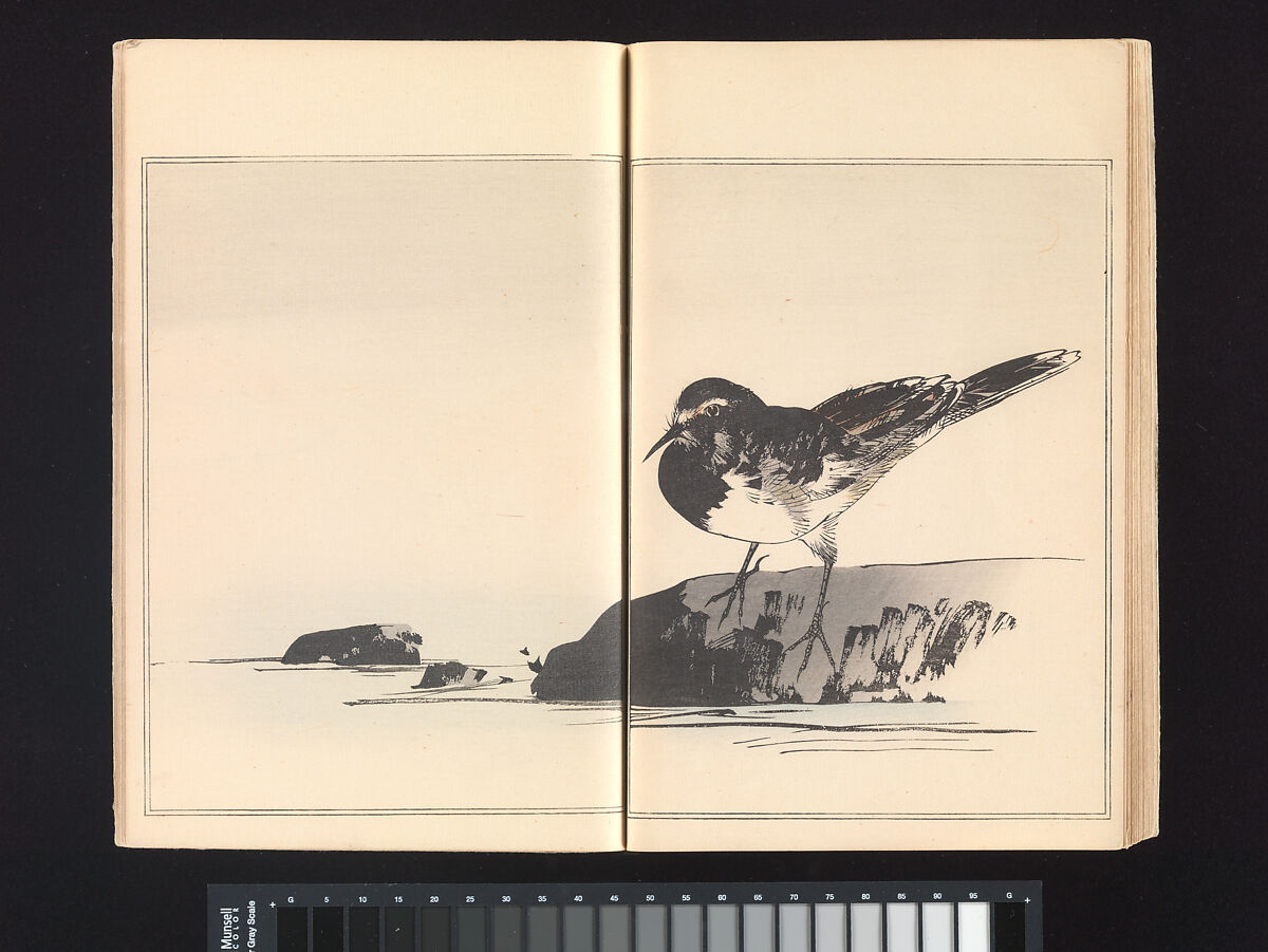 Seitei’s Birds and Flowers Painting Manual, Watanabe Seitei (Japanese, 1851–1918), Woodblock printed book (Japanese-style binding); ink and color on paper, Japan