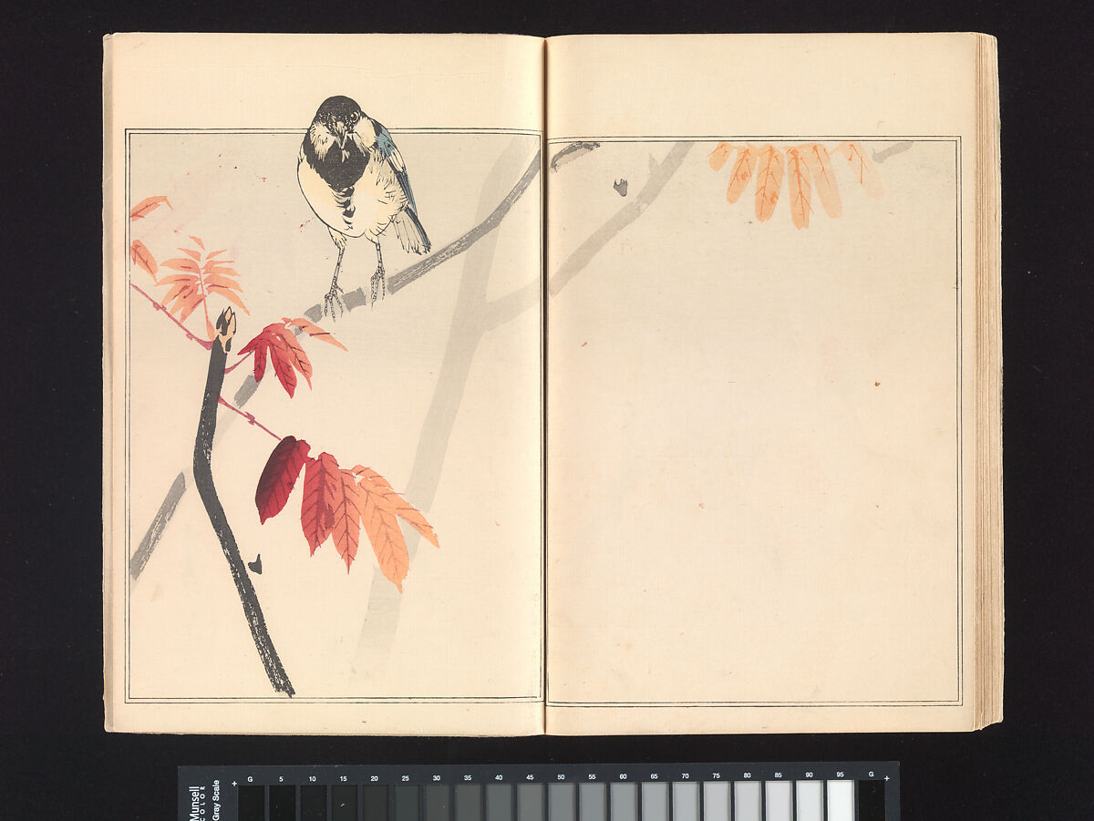 Seitei’s Birds and Flowers Painting Manual, Watanabe Seitei (Japanese, 1851–1918), Woodblock printed book (Japanese-style binding); ink and color on paper, Japan