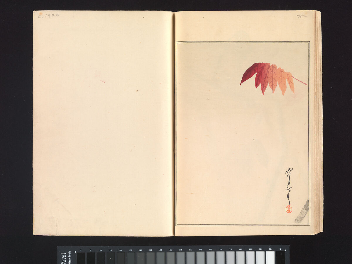 Seitei’s Birds and Flowers Painting Manual, Watanabe Seitei (Japanese, 1851–1918), Woodblock printed book (Japanese-style binding); ink and color on paper, Japan
