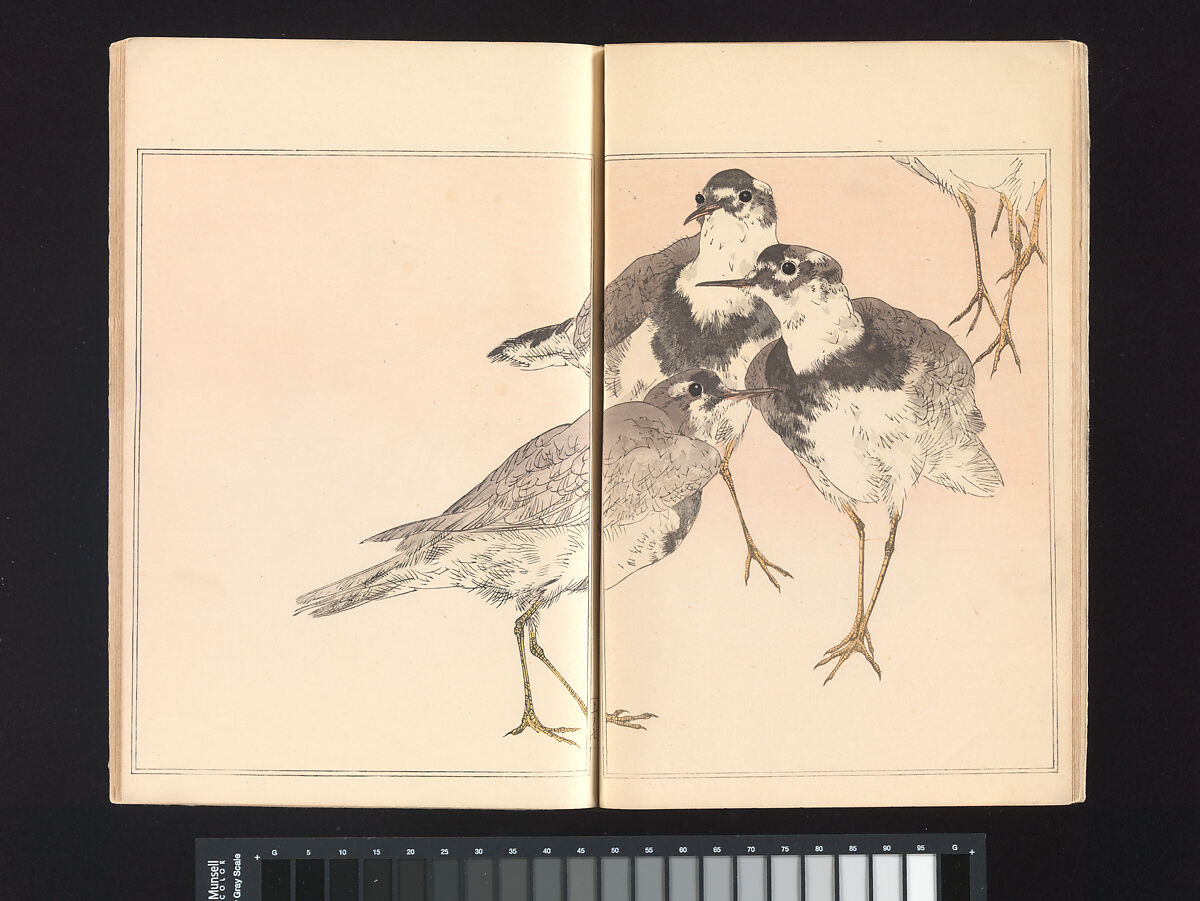 Seitei’s Birds and Flowers Painting Manual, Watanabe Seitei (Japanese, 1851–1918), Woodblock printed book (Japanese-style binding); ink and color on paper, Japan