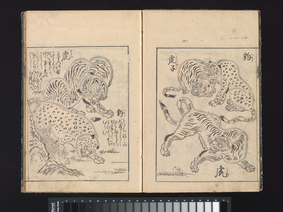 A Beginner’s Pictorial Encyclopedia of Natural History, Tachibana Morikuni (Japanese, 1679–1748), Three volumes of woodblock printed books (Japanese-style binding); ink on paper , Japan