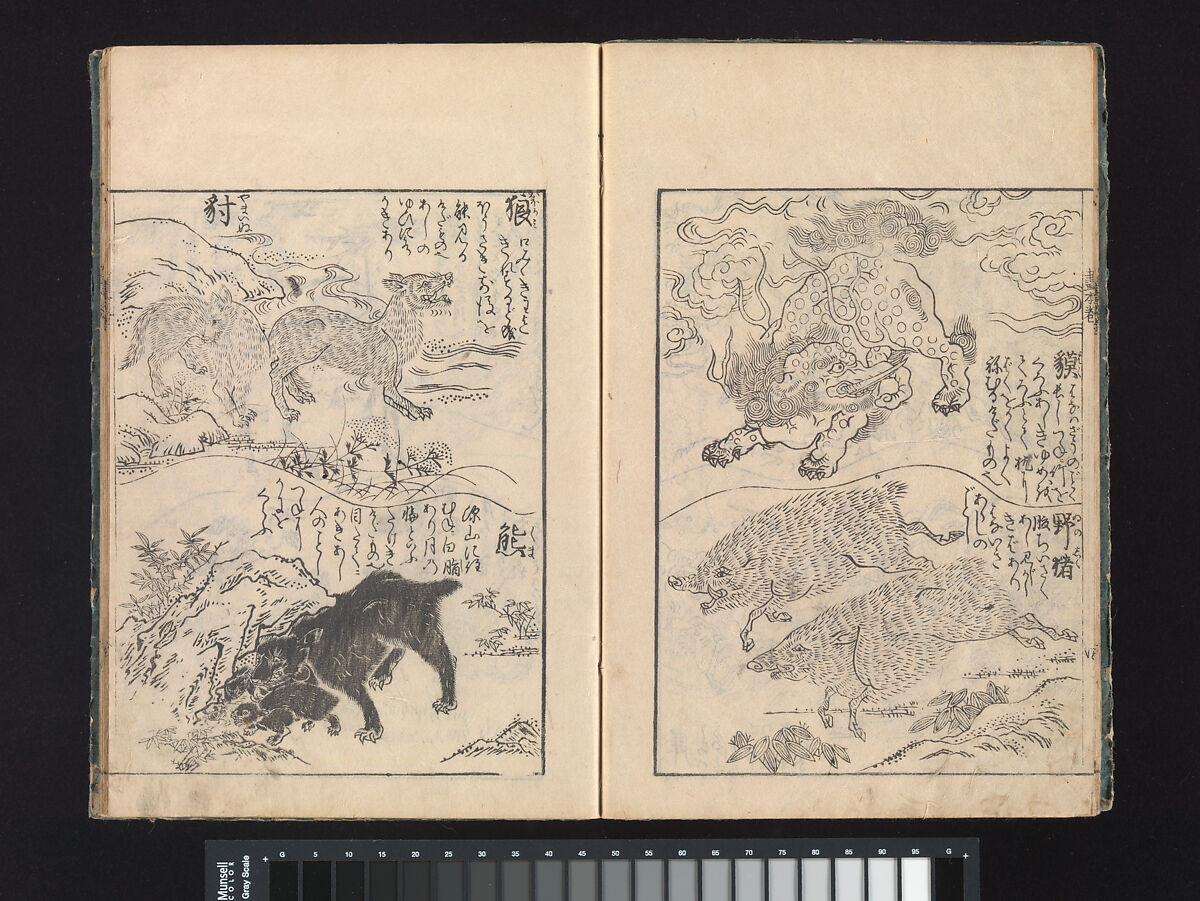 A Beginner’s Pictorial Encyclopedia of Natural History, Tachibana Morikuni (Japanese, 1679–1748), Three volumes of woodblock printed books (Japanese-style binding); ink on paper , Japan
