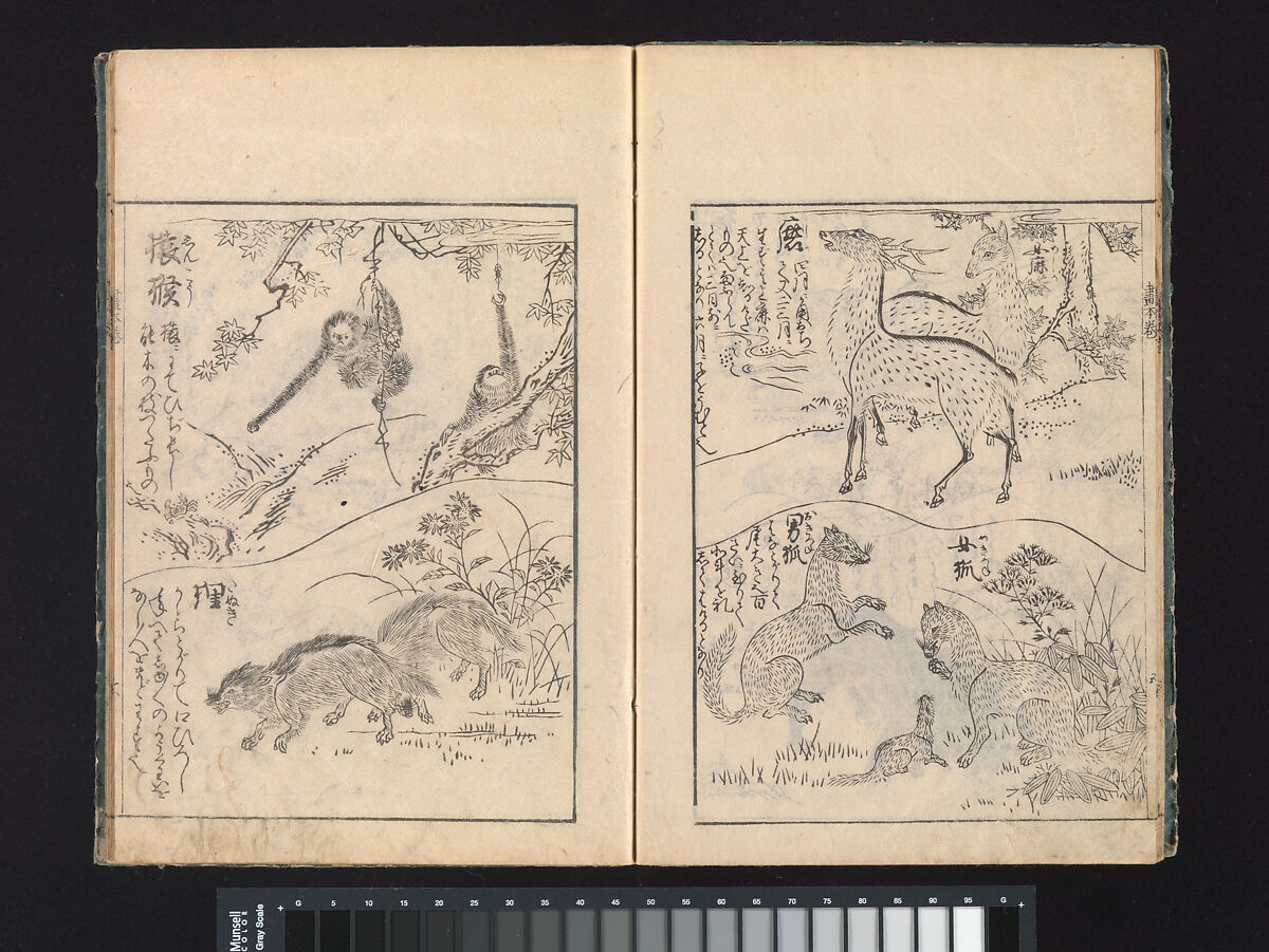 A Beginner’s Pictorial Encyclopedia of Natural History, Tachibana Morikuni (Japanese, 1679–1748), Three volumes of woodblock printed books (Japanese-style binding); ink on paper , Japan
