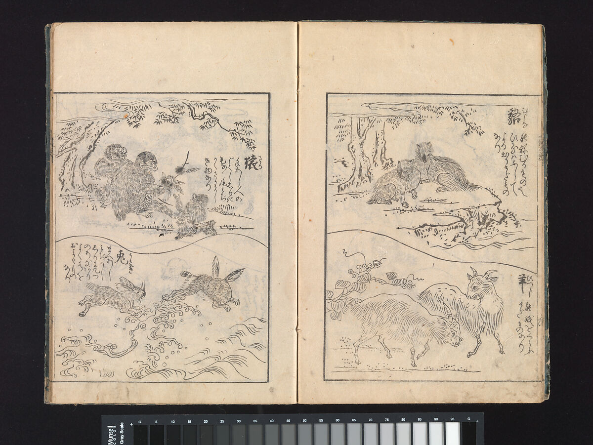 A Beginner’s Pictorial Encyclopedia of Natural History, Tachibana Morikuni (Japanese, 1679–1748), Three volumes of woodblock printed books (Japanese-style binding); ink on paper , Japan