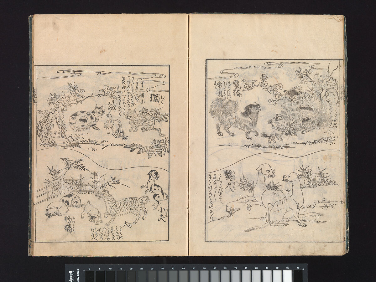 A Beginner’s Pictorial Encyclopedia of Natural History, Tachibana Morikuni (Japanese, 1679–1748), Three volumes of woodblock printed books (Japanese-style binding); ink on paper , Japan