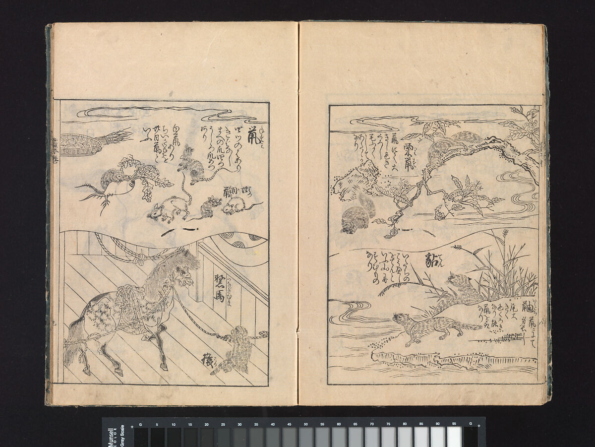 A Beginner’s Pictorial Encyclopedia of Natural History, Tachibana Morikuni (Japanese, 1679–1748), Three volumes of woodblock printed books (Japanese-style binding); ink on paper , Japan