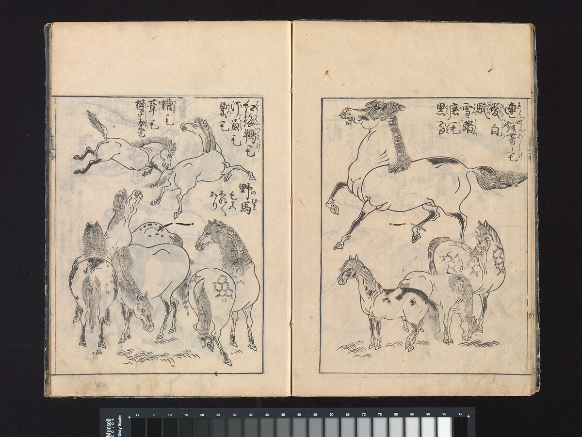 A Beginner’s Pictorial Encyclopedia of Natural History, Tachibana Morikuni (Japanese, 1679–1748), Three volumes of woodblock printed books (Japanese-style binding); ink on paper , Japan