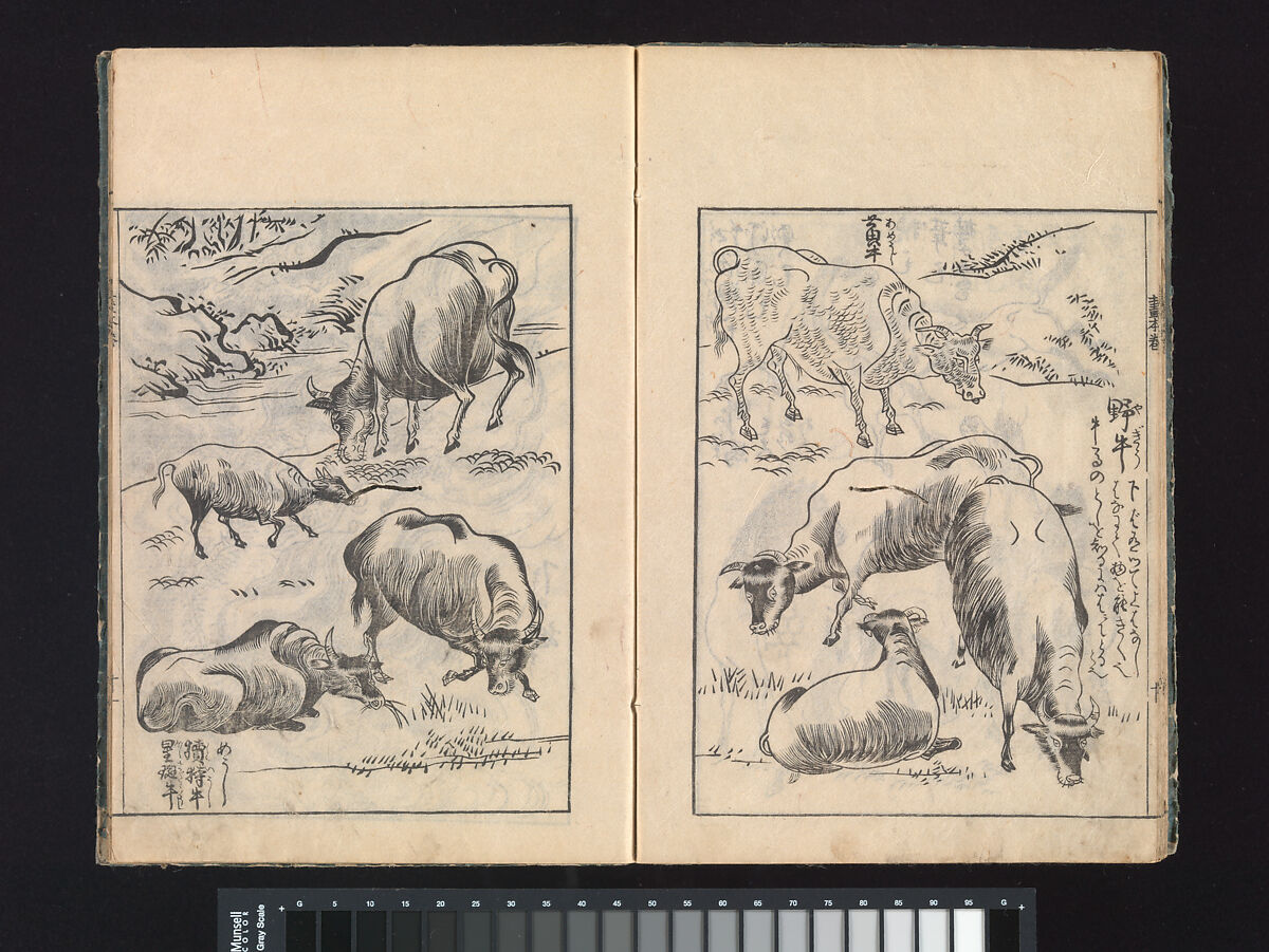 A Beginner’s Pictorial Encyclopedia of Natural History, Tachibana Morikuni (Japanese, 1679–1748), Three volumes of woodblock printed books (Japanese-style binding); ink on paper , Japan