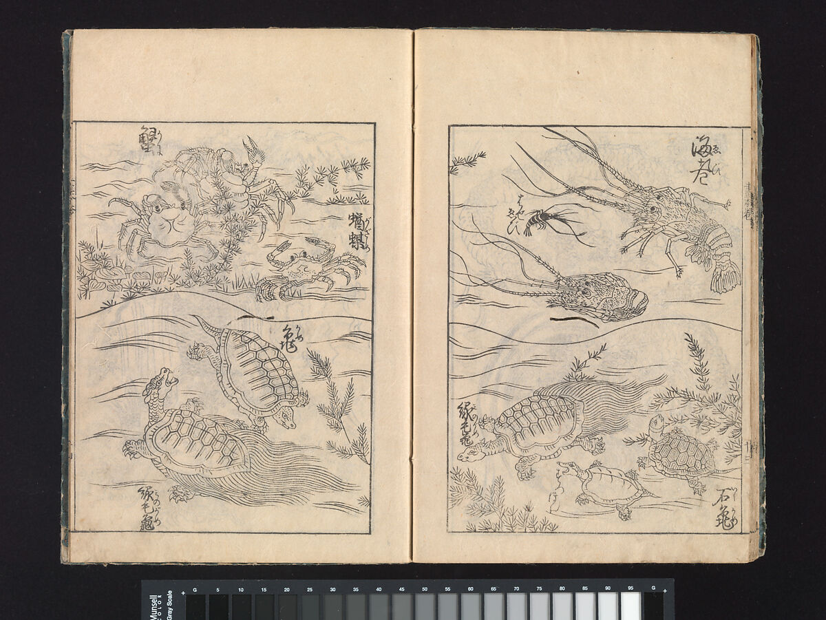 A Beginner’s Pictorial Encyclopedia of Natural History, Tachibana Morikuni (Japanese, 1679–1748), Three volumes of woodblock printed books (Japanese-style binding); ink on paper , Japan