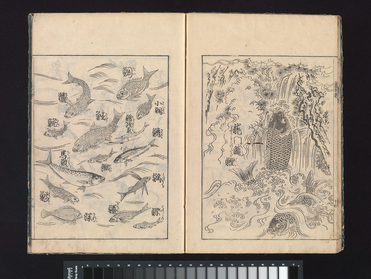 A Beginner’s Pictorial Encyclopedia of Natural History, Tachibana Morikuni (Japanese, 1679–1748), Three volumes of woodblock printed books (Japanese-style binding); ink on paper , Japan