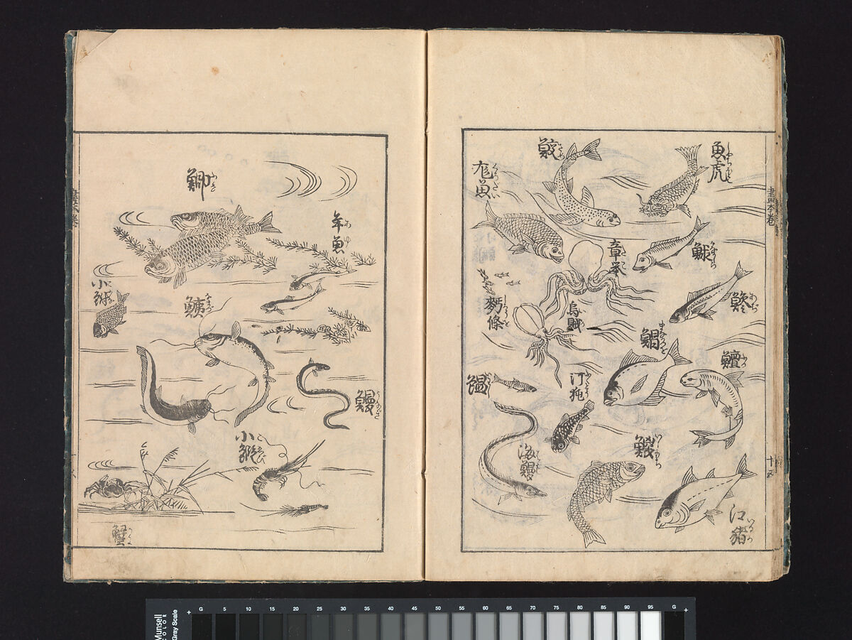 A Beginner’s Pictorial Encyclopedia of Natural History, Tachibana Morikuni (Japanese, 1679–1748), Three volumes of woodblock printed books (Japanese-style binding); ink on paper , Japan