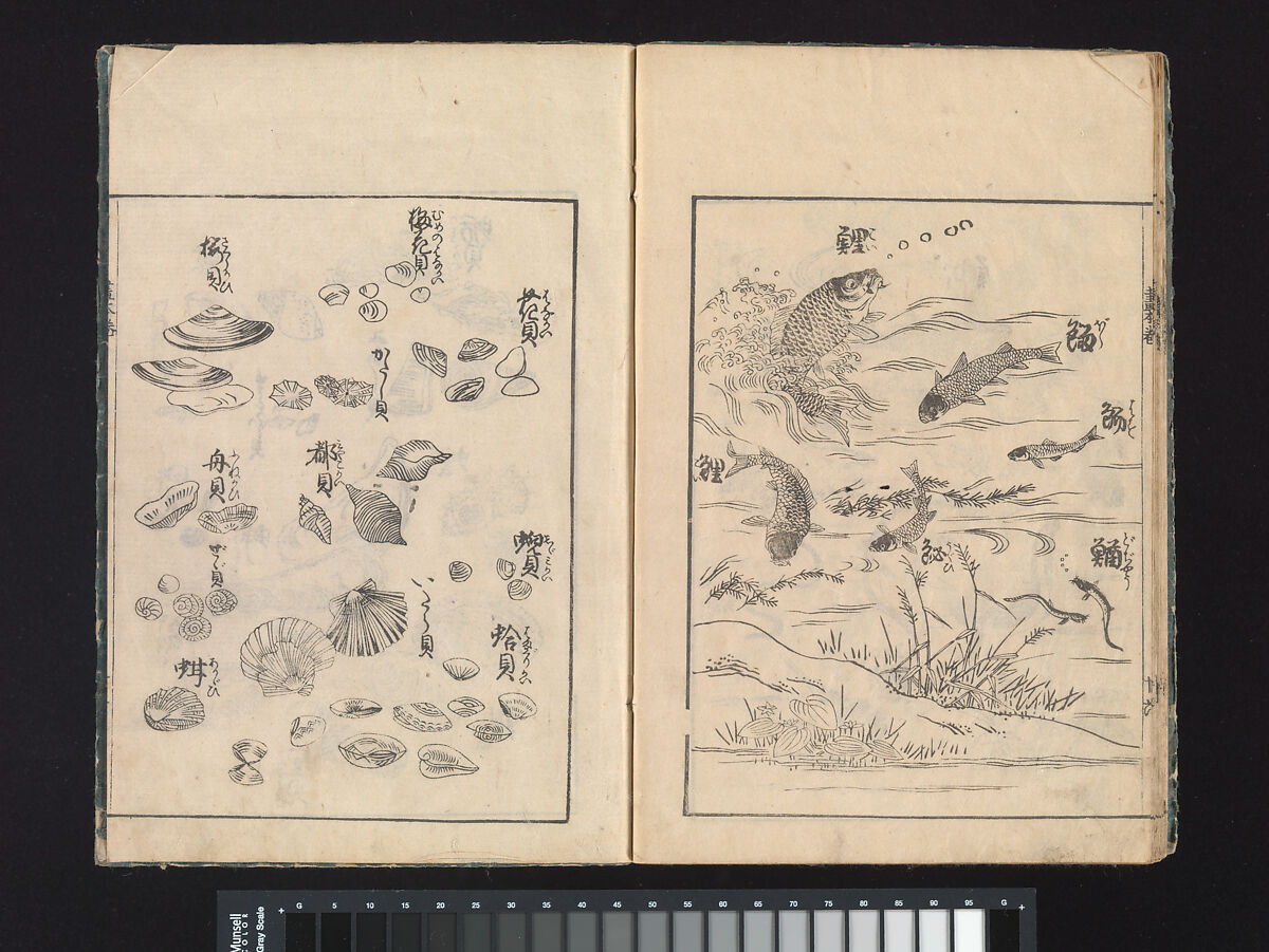A Beginner’s Pictorial Encyclopedia of Natural History, Tachibana Morikuni (Japanese, 1679–1748), Three volumes of woodblock printed books (Japanese-style binding); ink on paper , Japan