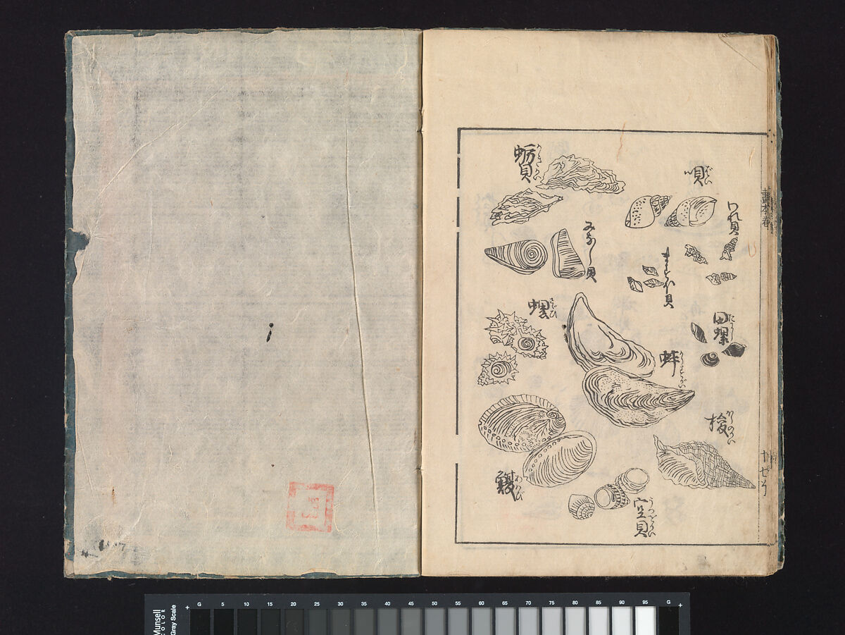 A Beginner’s Pictorial Encyclopedia of Natural History, Tachibana Morikuni (Japanese, 1679–1748), Three volumes of woodblock printed books (Japanese-style binding); ink on paper , Japan
