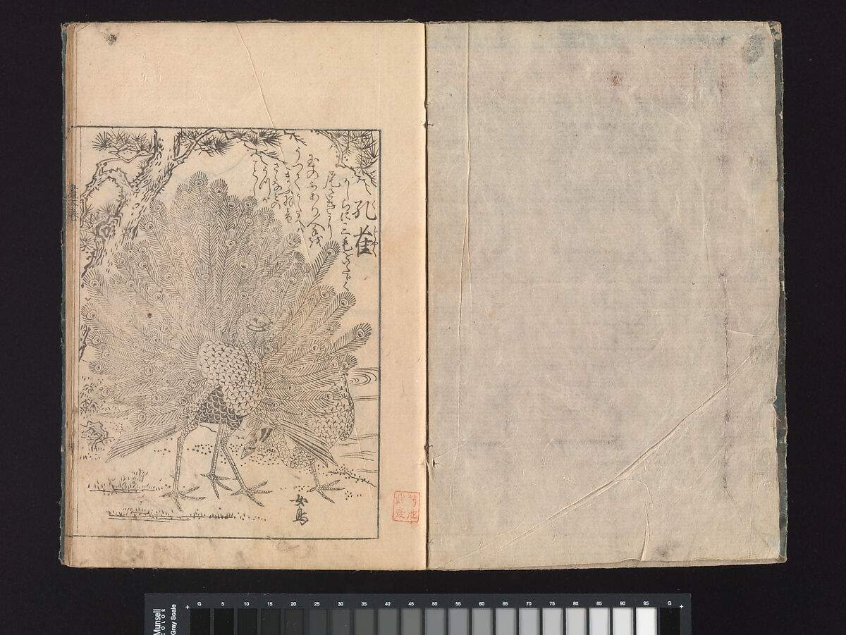 A Beginner’s Pictorial Encyclopedia of Natural History, Tachibana Morikuni (Japanese, 1679–1748), Three volumes of woodblock printed books (Japanese-style binding); ink on paper , Japan
