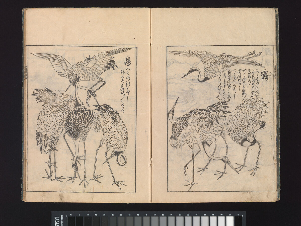 A Beginner’s Pictorial Encyclopedia of Natural History, Tachibana Morikuni (Japanese, 1679–1748), Three volumes of woodblock printed books (Japanese-style binding); ink on paper , Japan
