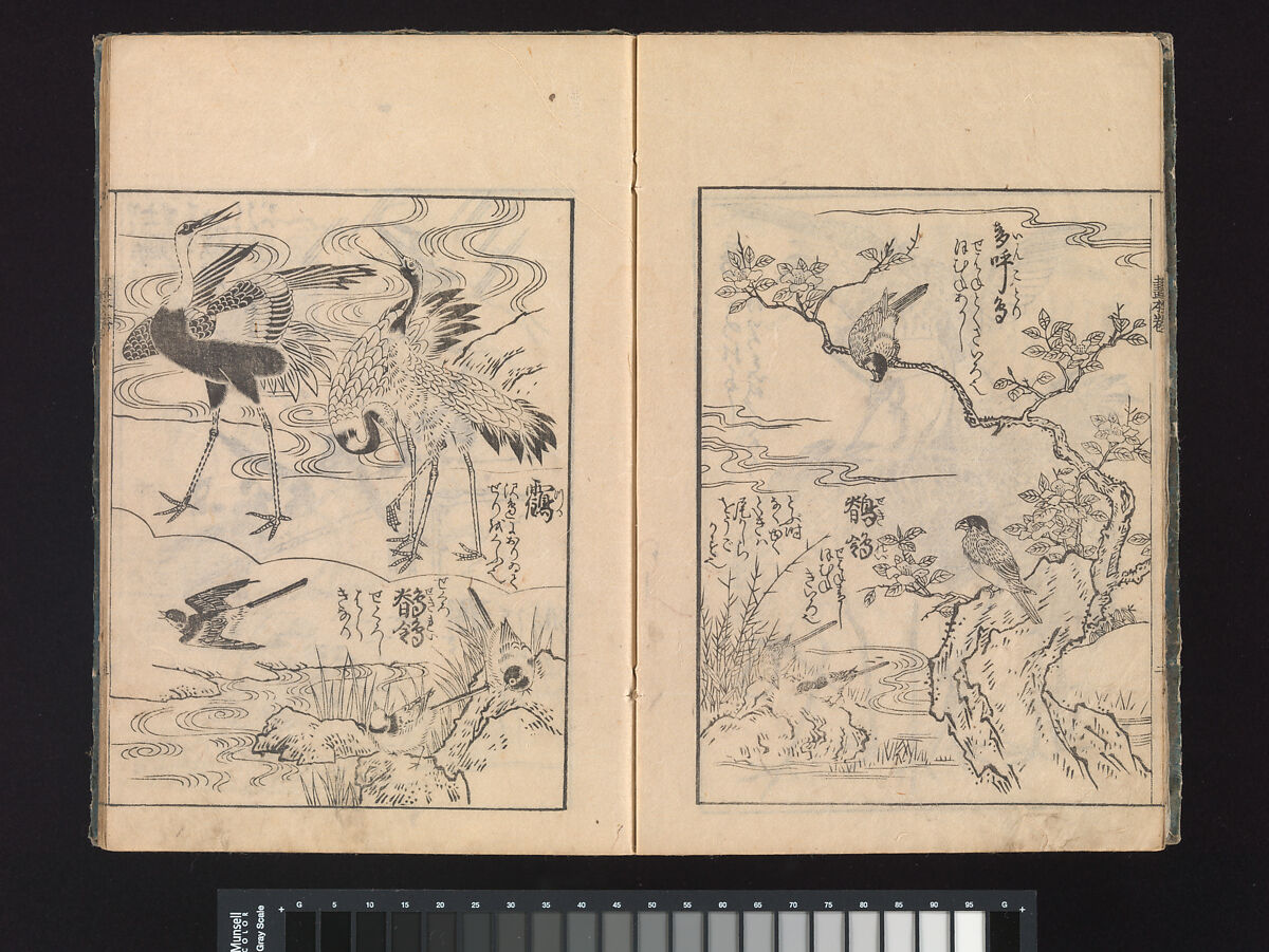 A Beginner’s Pictorial Encyclopedia of Natural History, Tachibana Morikuni (Japanese, 1679–1748), Three volumes of woodblock printed books (Japanese-style binding); ink on paper , Japan